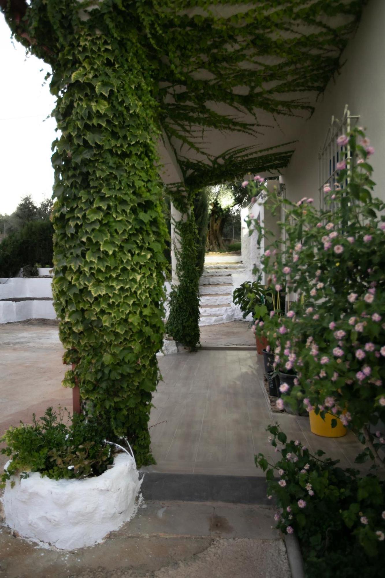 Cortijo Botanico El Cerro Villa Cabra Værelse billede